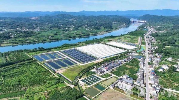 振兴配资 24小时到达！宜都首批鲟鱼“游”到越南