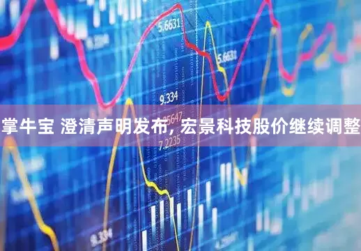 掌牛宝 澄清声明发布, 宏景科技股价继续调整